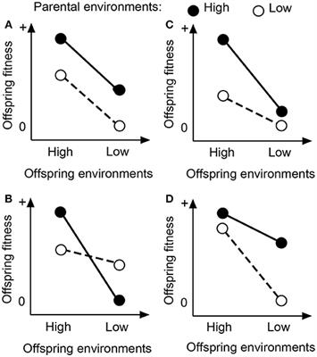 Context-Dependent Parental Effects on Clonal Offspring Performance